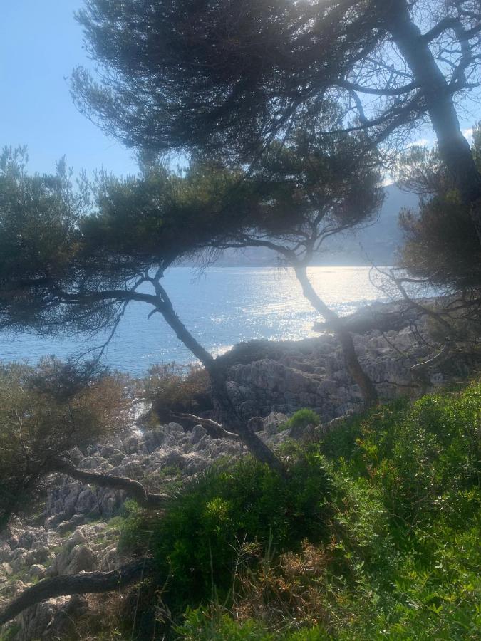 Castiello B&B Roquebrune-Cap-Martin Kültér fotó